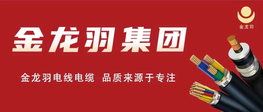 城市流動的風景線，金龍羽點亮全城！